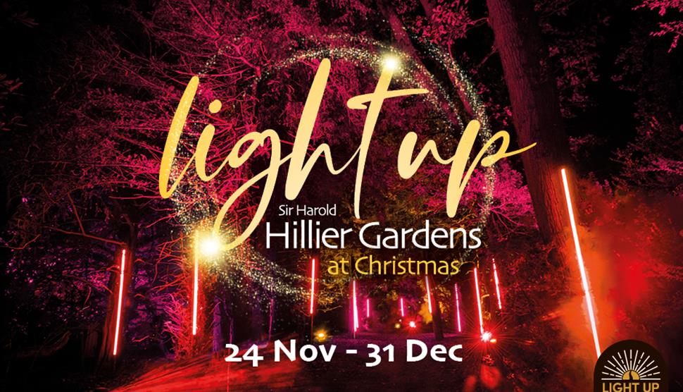 Light Up at Sir Harold Hillier Gardens
